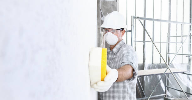 Mold Documentation for Insurance Claims in Tice, FL