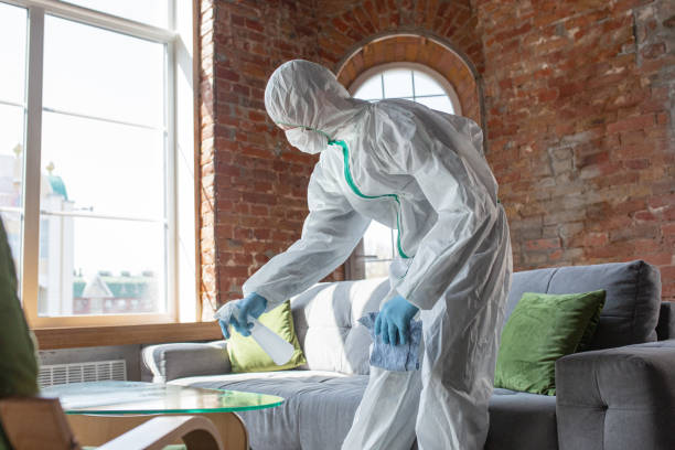 Professional Mold Removal Services in Tice, FL